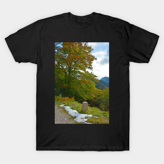 Autumn on the Slopes of Mangrt T-Shirt by jojobob